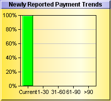 Newly Reported Payment DBT Chart