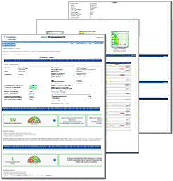 Sample CreditScore report