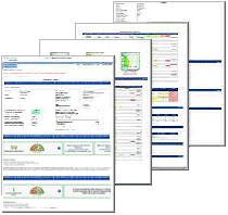 Sample ProfilePlus report